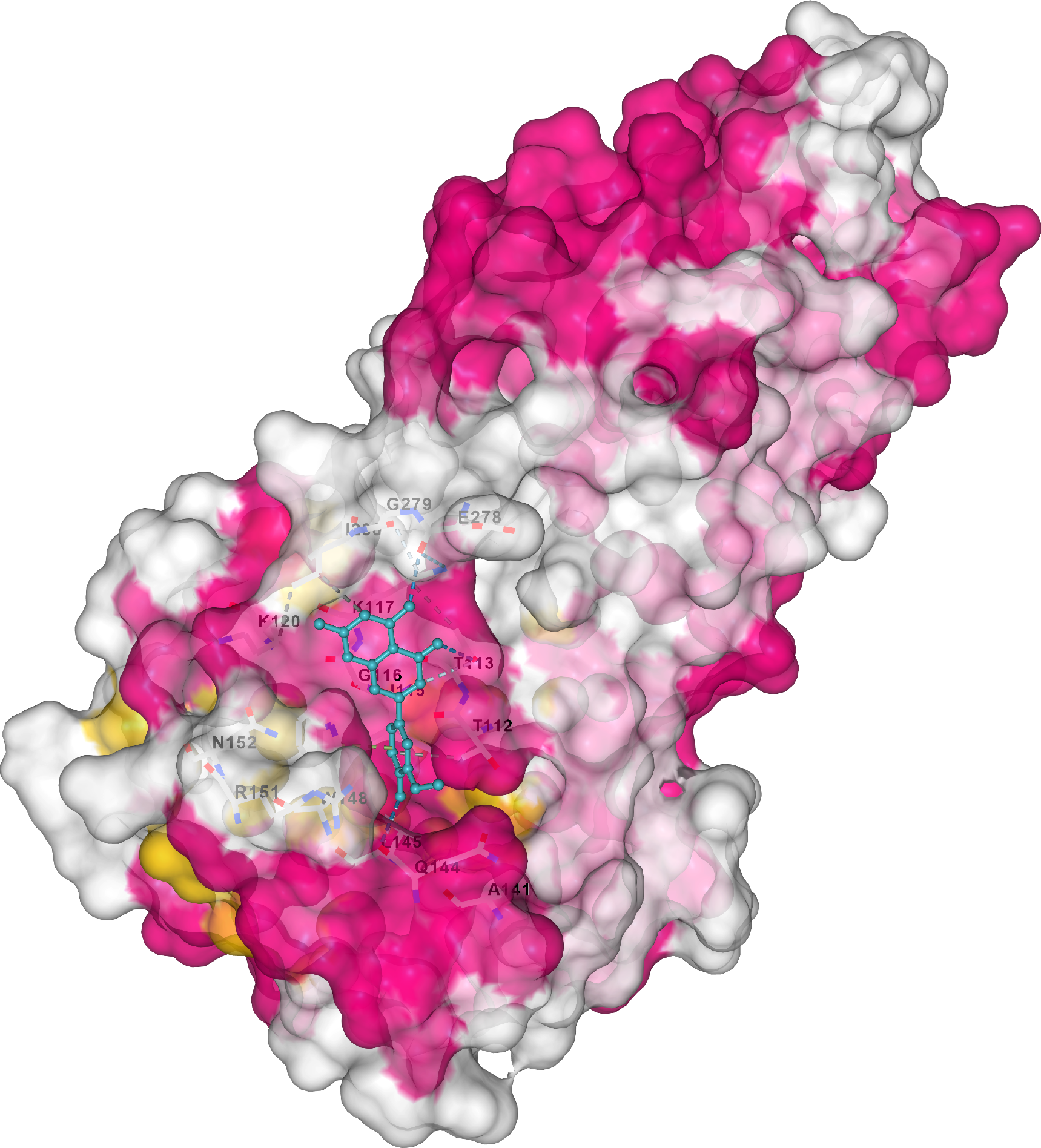 Computational Drug Discovery